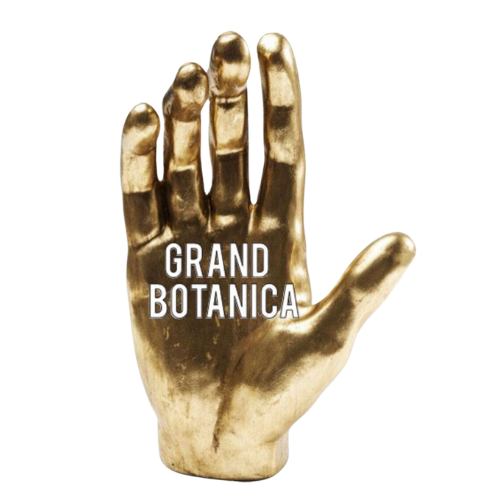 Grand Botanica